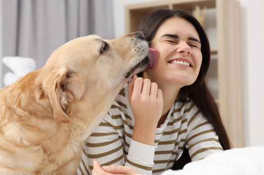Happy dog licking woman’s face