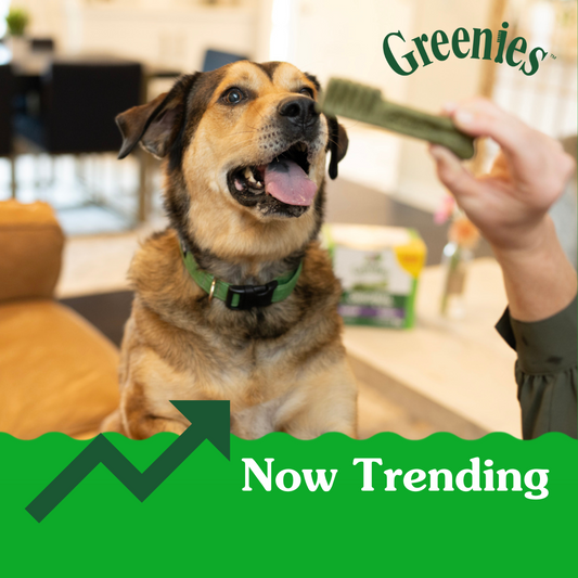 Now Trending for Dogs: