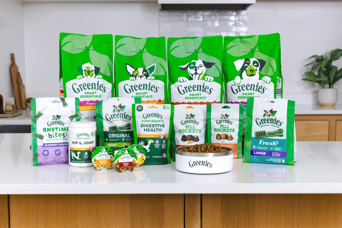 Best dog best sale dental products