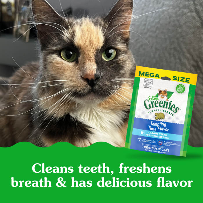 10205272_Greenies_AdultCat_DentalTreats_TemptingTuna_4.6_oz_lifestyle2.jpg