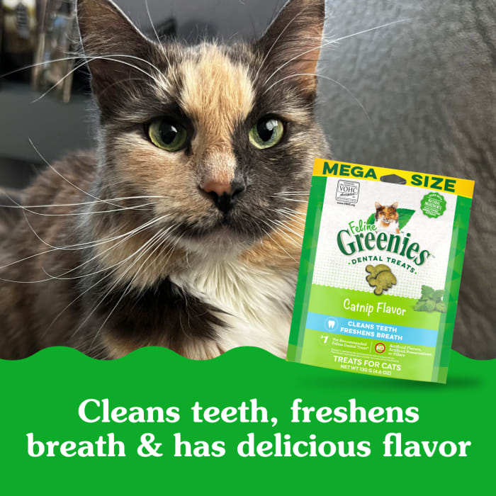 10205294_Greenies_AdultCat_DentalTreats_Catnip_4.6_oz_lifestyle2.jpg