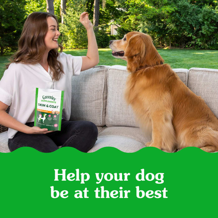 10230135_Greenies_Skin&Coat_Supplements_Chicken_80_Chews_lifestyle1.jpg
