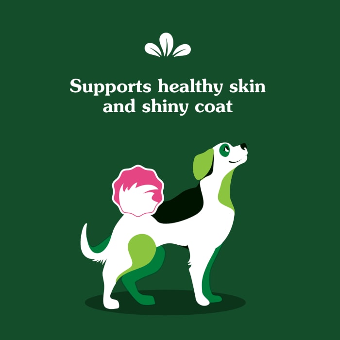 10230135_Greenies_Skin&Coat_Supplements_Chicken_80_Chews_lifestyle2.jpg