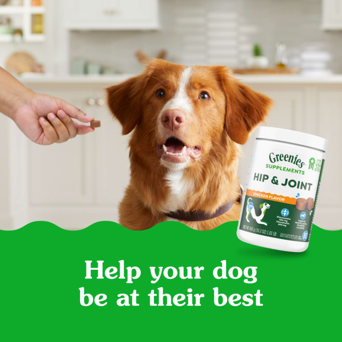 10230139_Greenies_Hip&Joint_Supplements_Chicken_80_Chews_lifestyle1.jpg