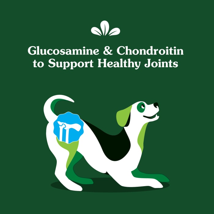 10230139_Greenies_Hip&Joint_Supplements_Chicken_80_Chews_lifestyle2.jpg