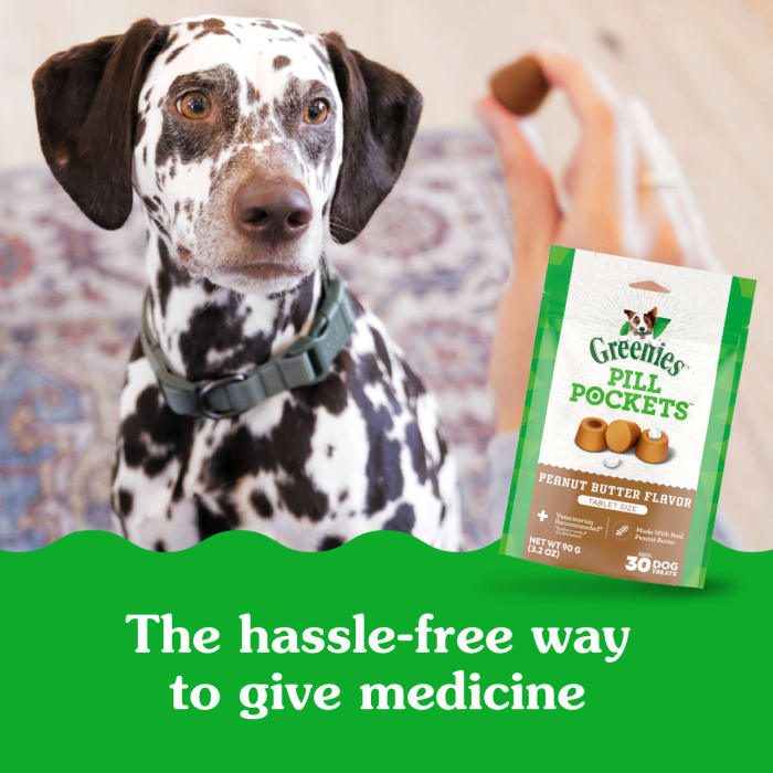 10240127_Greenies_Dog_PillPockets_PeanutButter_Flavor_30_Treats_lifestyle1.jpg