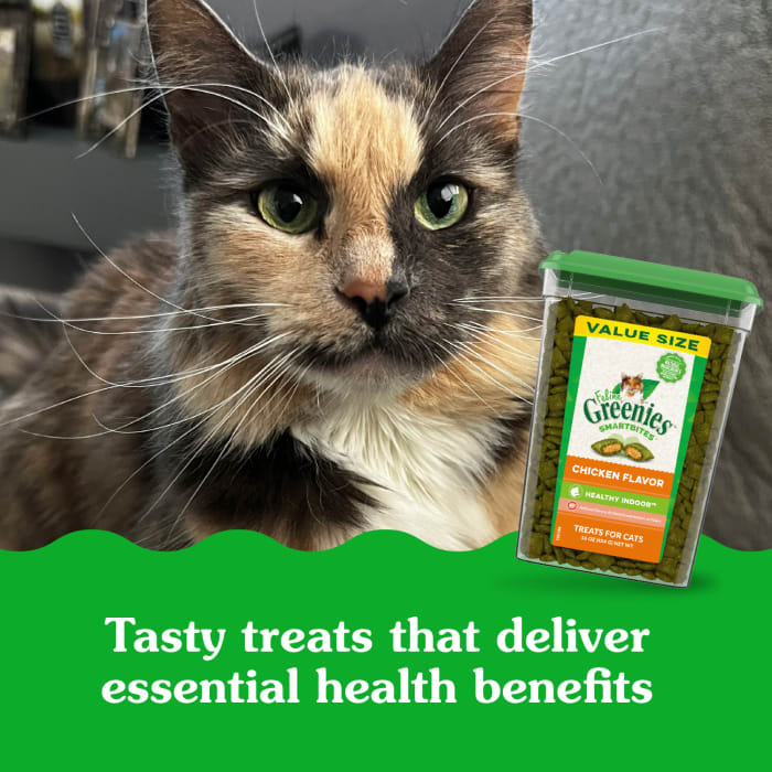 10242294_Greenies_Smartbites_Healthy_Indoor_Chicken_16_oz_lifestyle2.jpg