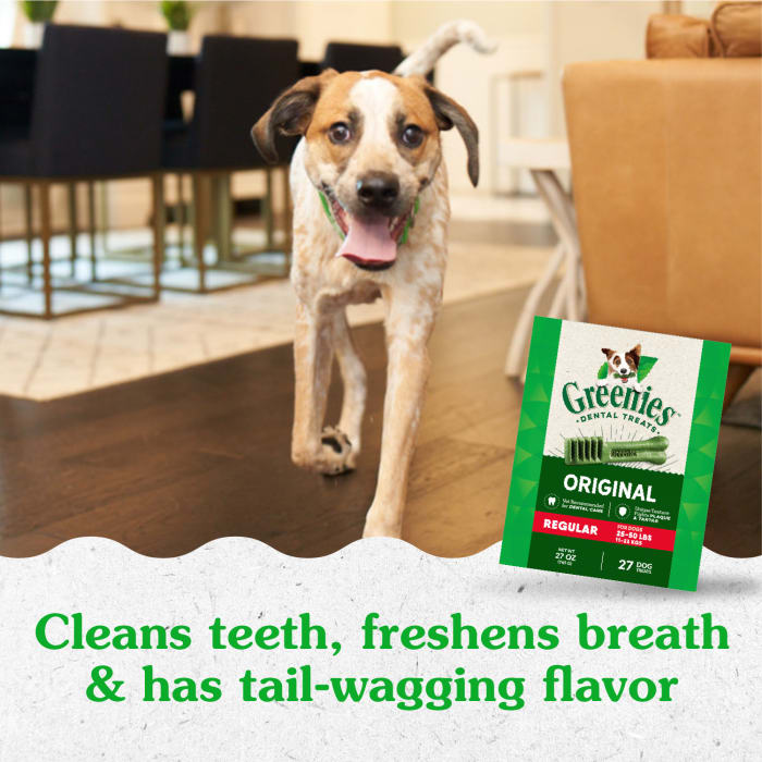 10258168_Greenies_RegularDog_DentalTreats_Original Flavor_27_Treats_lifestyle1.jpg