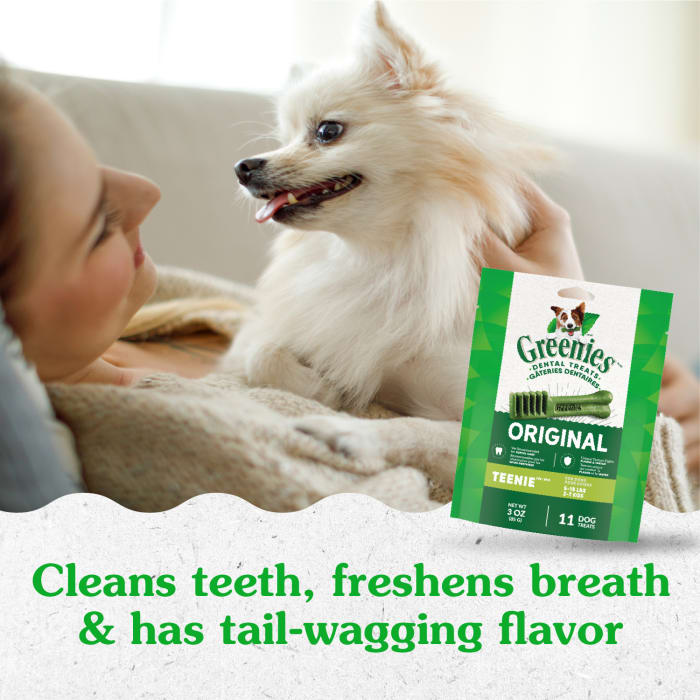 10258589_Greenies_TeenieDog_DentalTreats_Original_11_Treats_lifestyle1.jpg