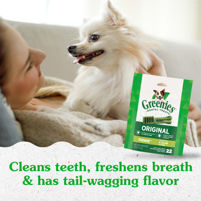 10258593_Greenies_TeenieDog_DentalTreats_Original_22_Treats_lifestyle1.jpg