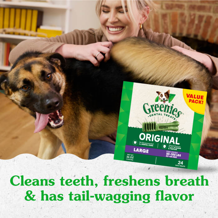 10271771_Greenies_LargeDog_DentalTreats_Original_24_Treats_lifestyle1.jpg