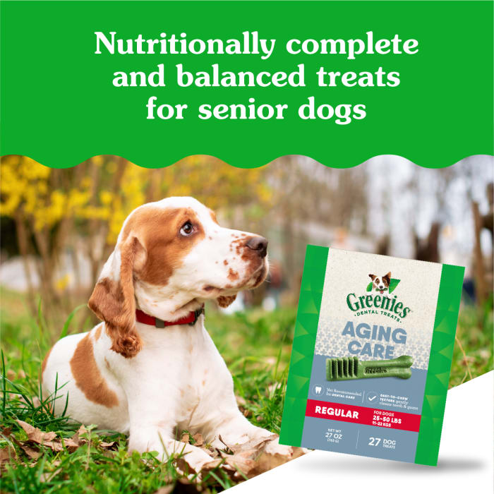 10271806_Greenies_RegularDog_DentalTreats_Aging_Care_27_Treats_lifestyle1.jpg