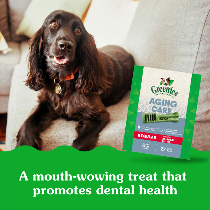 10271806_Greenies_RegularDog_DentalTreats_Aging_Care_27_Treats_lifestyle2.jpg