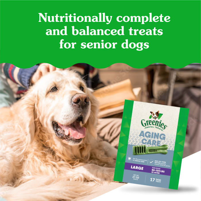 10271807_Greenies_LargeDog_DentalTreats_Aging_Care_17_Treats_lifestyle1.jpg