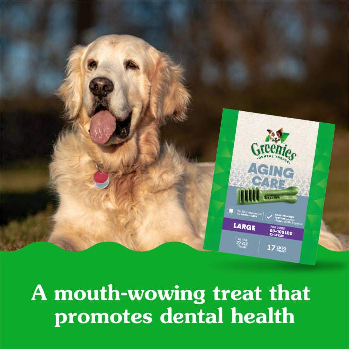 10271807_Greenies_LargeDog_DentalTreats_Aging_Care_17_Treats_lifestyle2.jpg