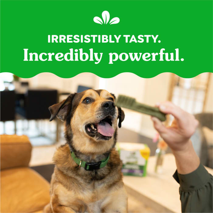 10272333_Greenies_LargeDog_DentalTreats_Blueberry_8_Treats_claim2.jpg