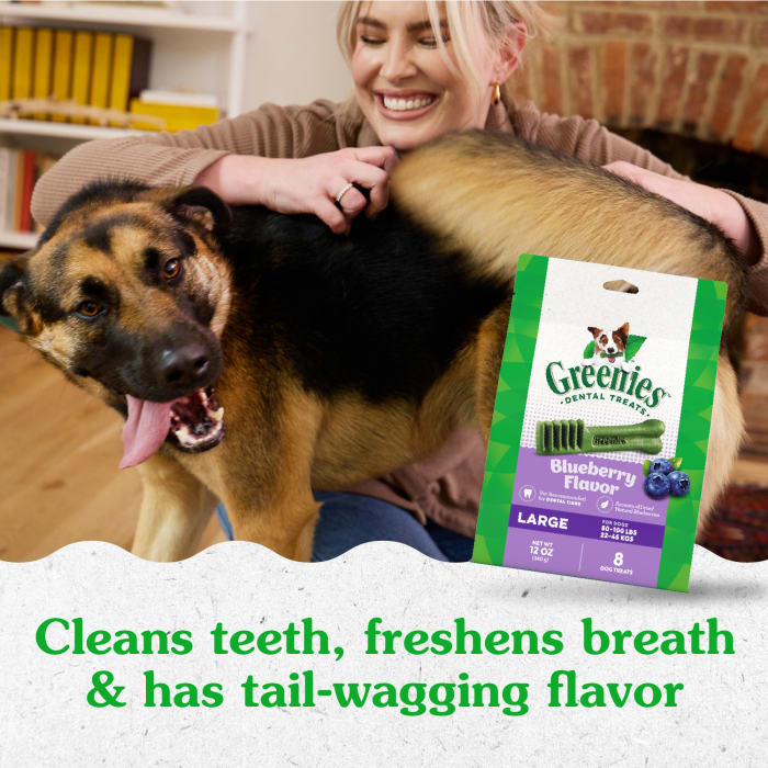 10272333_Greenies_LargeDog_DentalTreats_Blueberry_8_Treats_lifestyle1.jpg