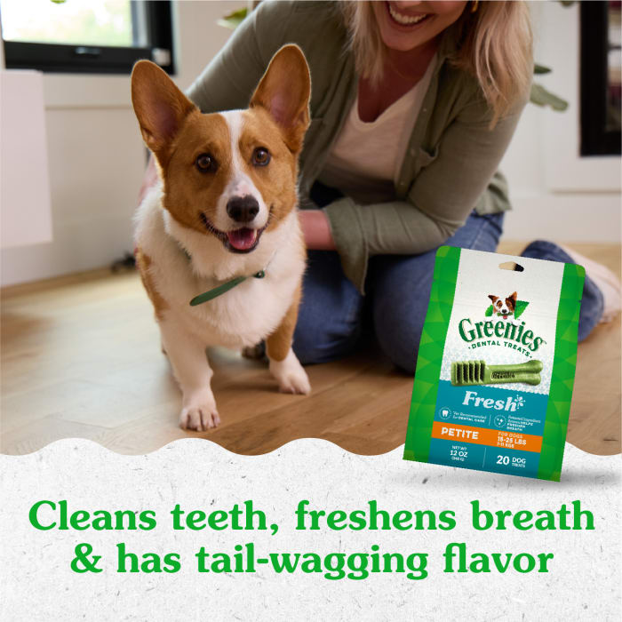 10272336_Greenies_PetiteDog_DentalTreats_Fresh_20_Treats_lifestyle1.jpg