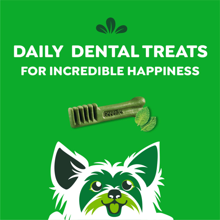 10272337_Greenies_TeenieDog_DentalTreats_Fresh_43_Treats_f.jpg