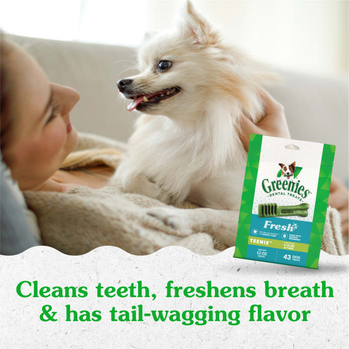 10272337_Greenies_TeenieDog_DentalTreats_Fresh_43_Treats_lifestyle1.jpg