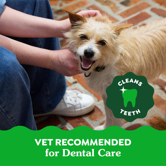 10272337_Greenies_TeenieDog_DentalTreats_Fresh_43_Treats_lifestyle2.jpg