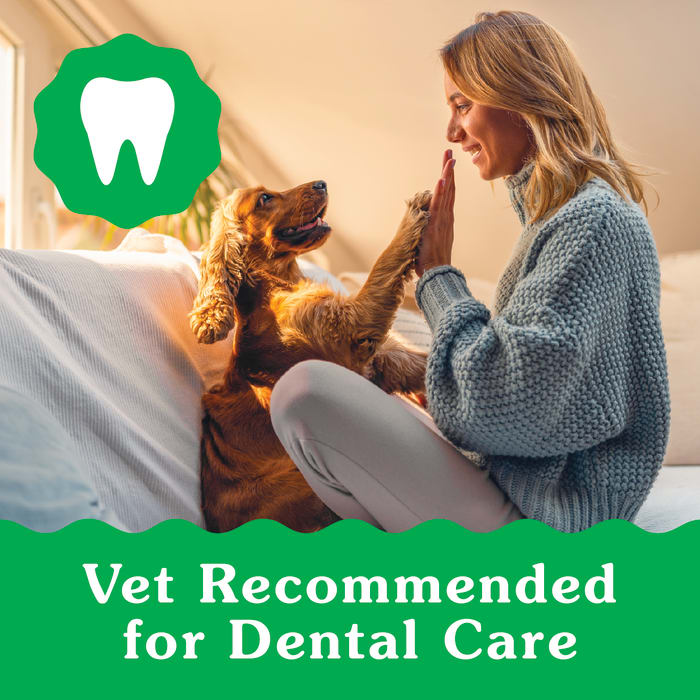 10277311_Greenies_Canine_Dental_Treats_Puppy_12oz_claim1.jpg