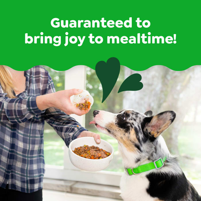 10277590_Greenies_Wet_SmartTopper_MVMP_ChickenGreenBeanSweetPotato_BeefPeasCarrots_8ct_lifestyle1.jpg