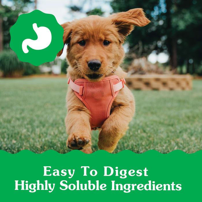 10277802_92040_Greenies_Petite_Dental_Chew_6oz_Claim1.jpg