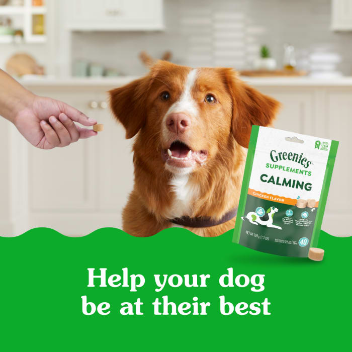 10278335_Greenies_Calming_Supplements_Chicken_40_Chews_lifestyle1.jpg