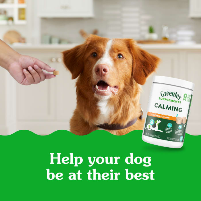 10278337_Greenies_Calming_Supplements_Chicken_80_Chews_lifestyle1.jpg