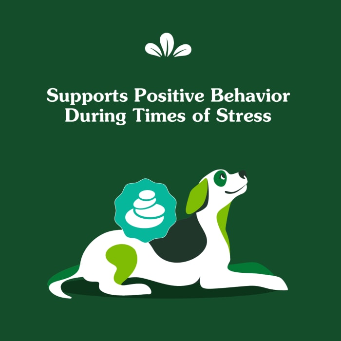 10278337_Greenies_Calming_Supplements_Chicken_80_Chews_lifestyle2.jpg