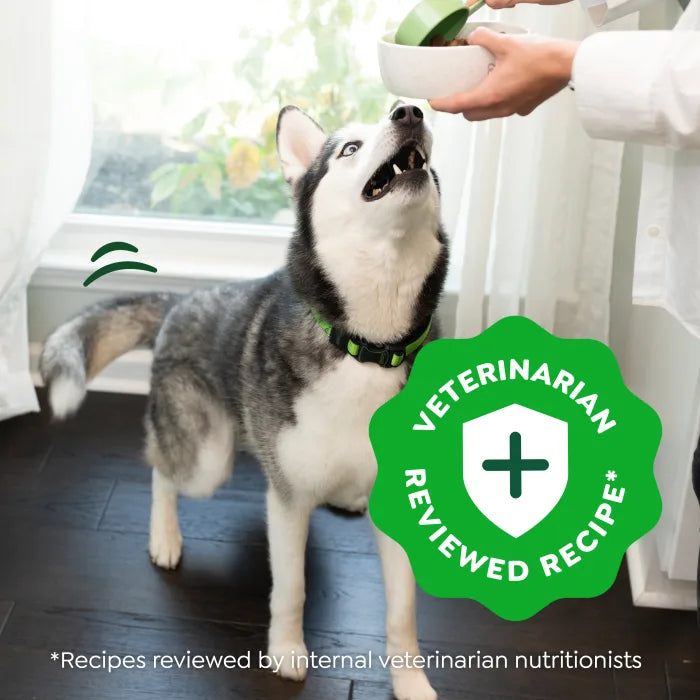[Greenies][Greenies Smart Essentials Sensitive Digestion & Skin Dry Dog Food Real Lamb & Brown Rice, 6 lb. Bag][Enhanced Image Position 19]