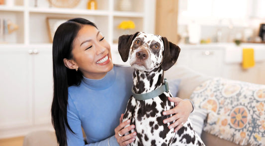 A woman sitting on a couch with a dalmatian dog beside her.