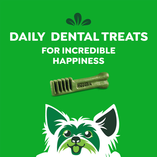 Daily Dental Treats for incredible happiness