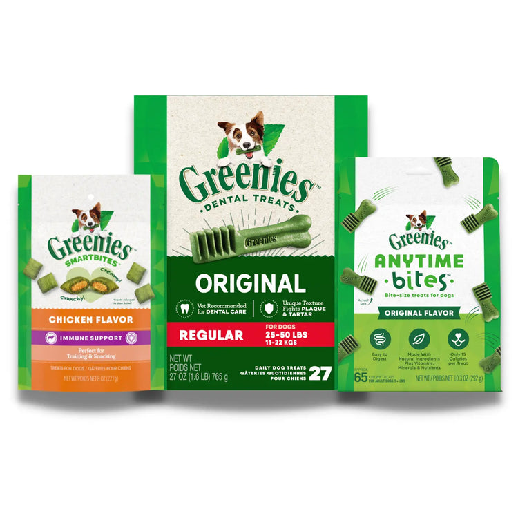 GREENIES Everyday Essentials Bundle, Regular