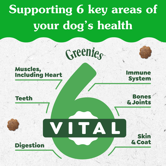 Supporting 6 key areas of your dog's health, Greenies Vital 6