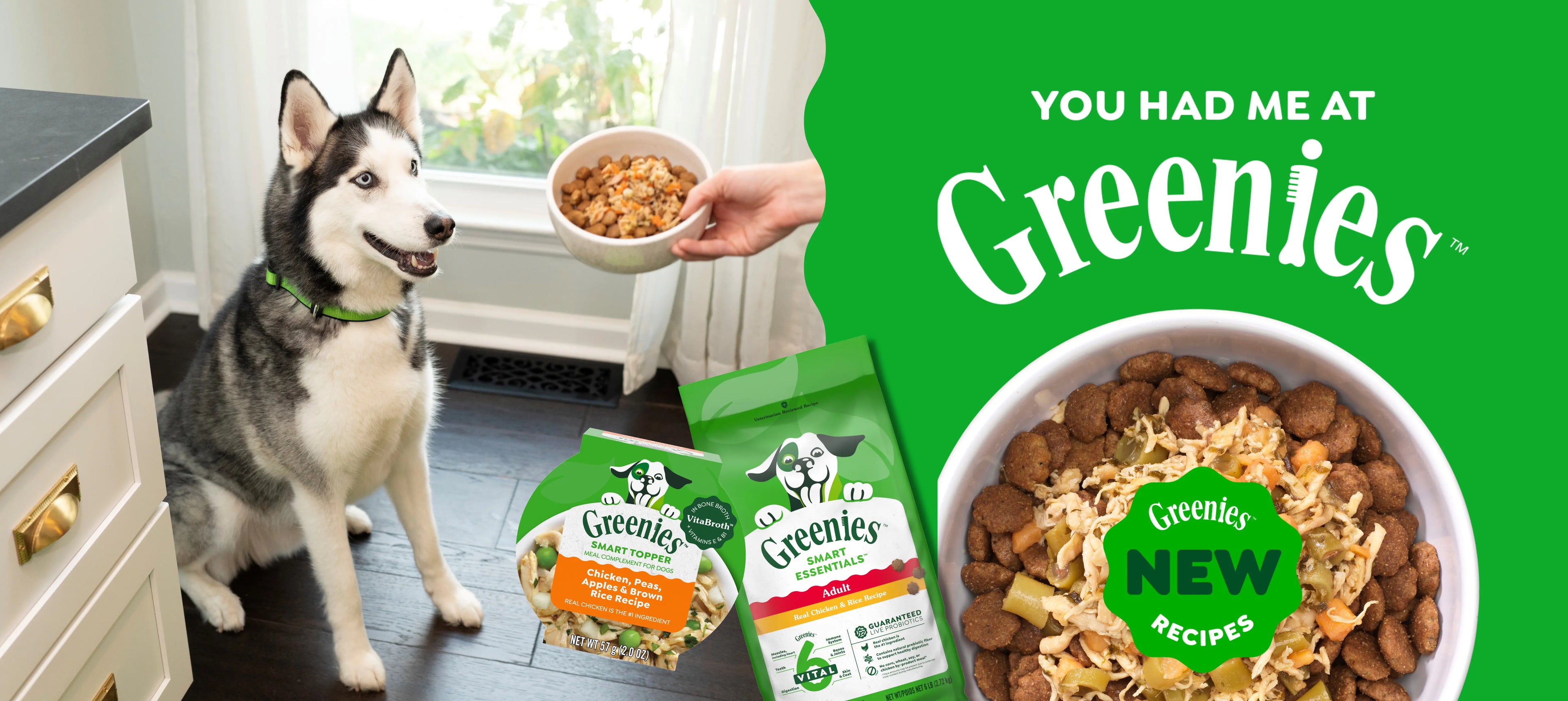 You had me at Greenies, new Greenies Recipes Desktop