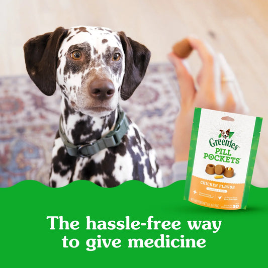 A dalmatian dog with a curious expression looks at a box of greenies pill pockets being held up, with text overlay "the hassle-free way to give medicine.