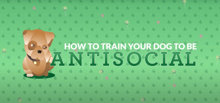 AntiSocial_Header