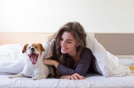 Woman under the blankets with her dog