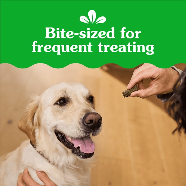 Anytime Bites Dog Treats Blueberry asset 3