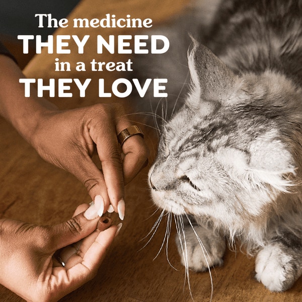 Feline PILL POCKETS For Cats Soft Cat Treats Salmon asset 5