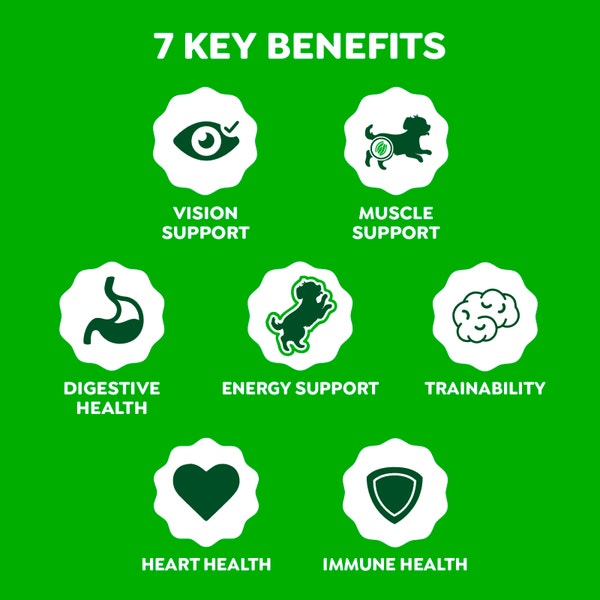 Multi-Benefit Puppy Supplements for Dog Chicken asset 2