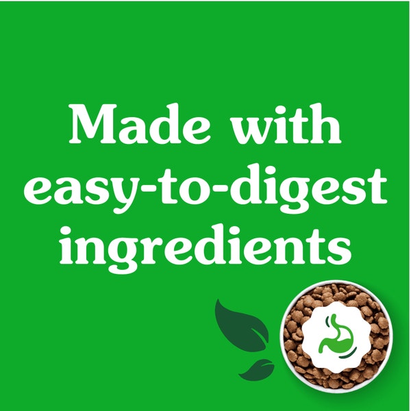 Smart Essentials Sensitive Digestion & Skin Adult Dry Dog Lamb & Brown Rice asset 4