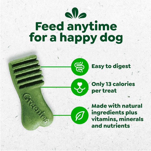 Anytime Bites Dog Treats Original asset 2
