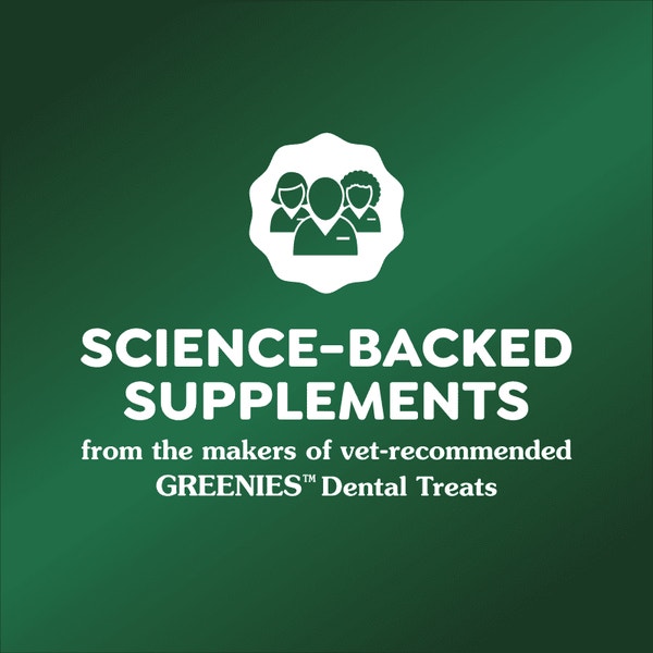 Skin and Coat Supplements for Dogs Soft Chews Chicken asset 4