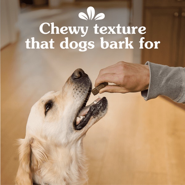 Anytime Bites Dog Treats Original asset 4