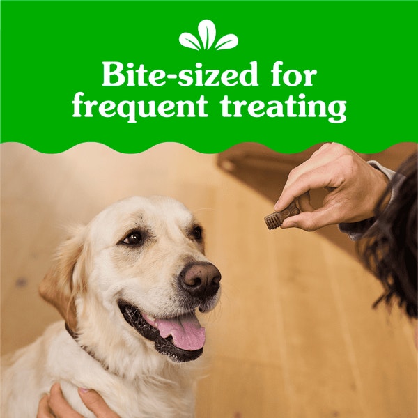 Anytime Bites Dog Treats Mint asset 3