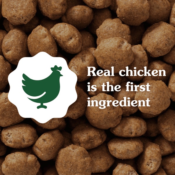 Smart Essentials Adult High Protein Dry Dog Food Large Size Chicken & Rice asset 2