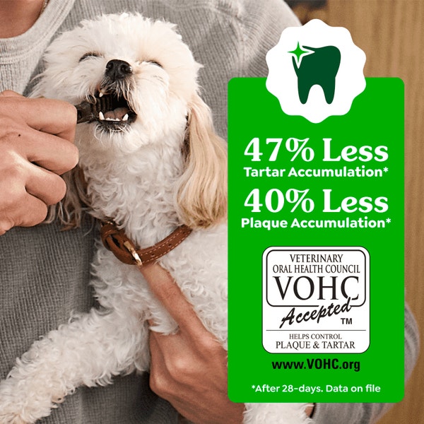 Adult Dental Dog Treats Teenie Size Original asset 2